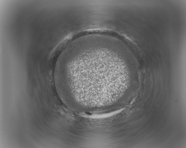 X0000061151351200512022303