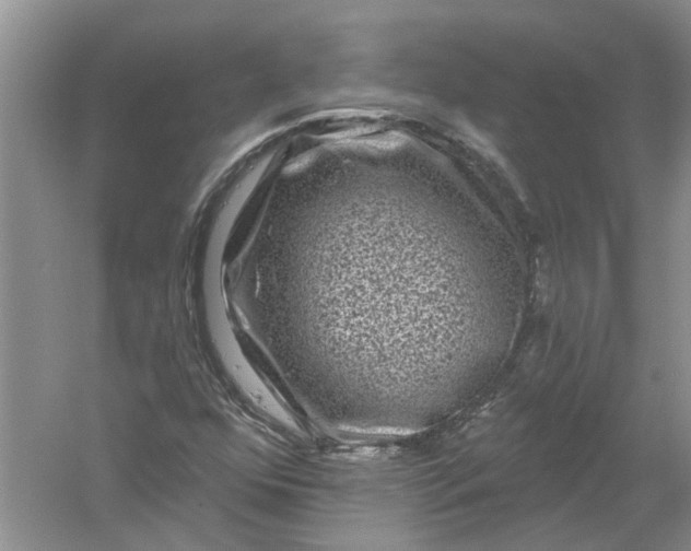 X0000061151352200512022303