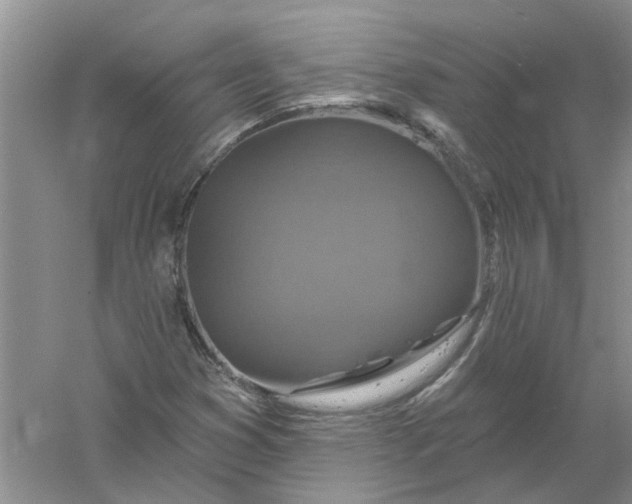 X0000061151353200512022303