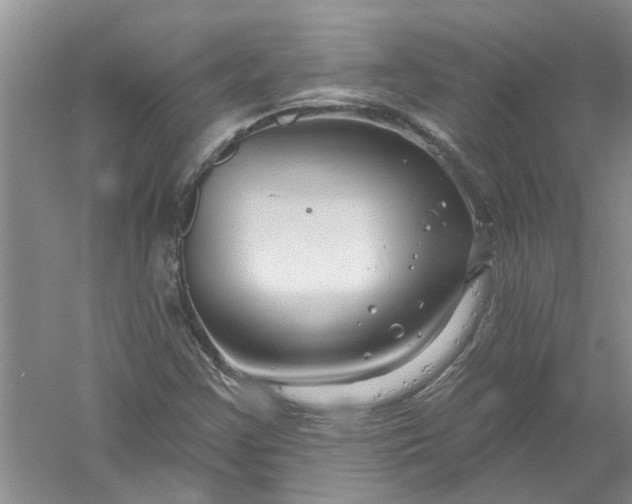 X0000061151355200512022303