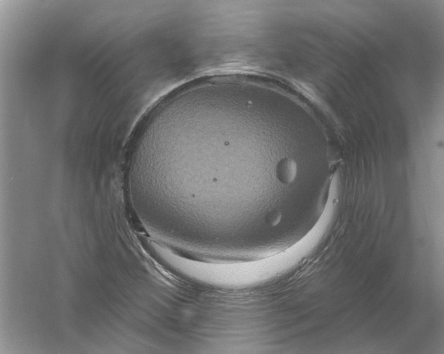 X0000061151356200512022303