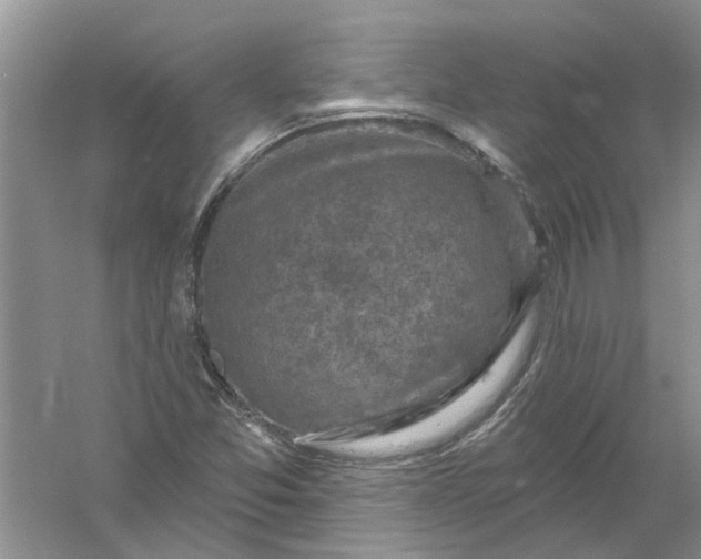 X0000061151357200512022303