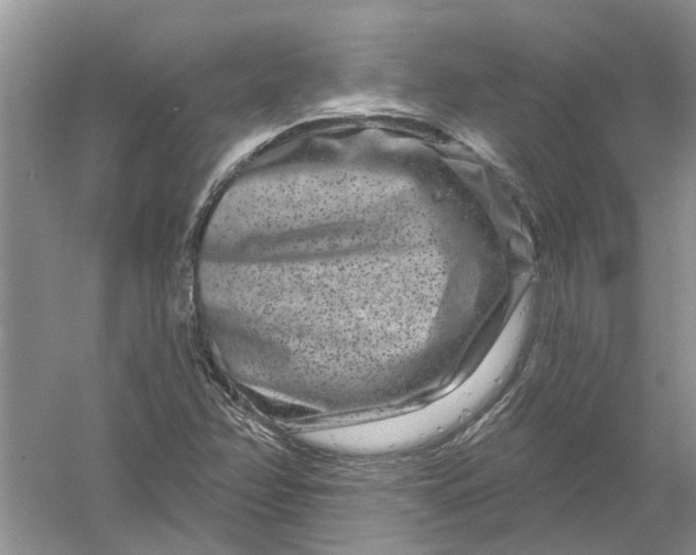 X0000061151358200512022303