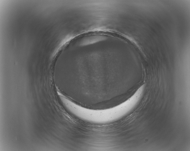 X0000061151359200512022303