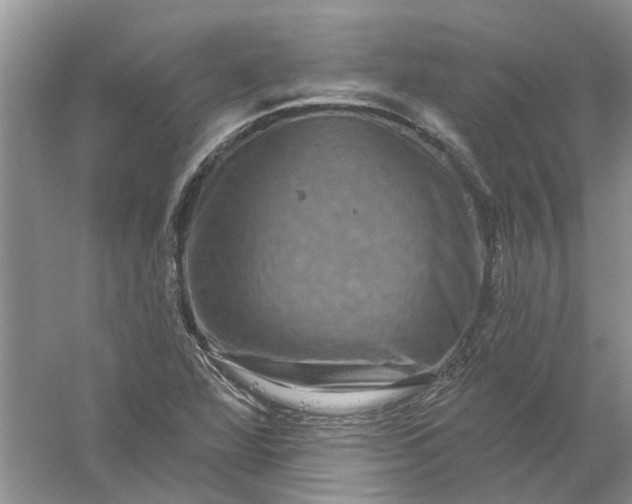 X0000061151360200512022303