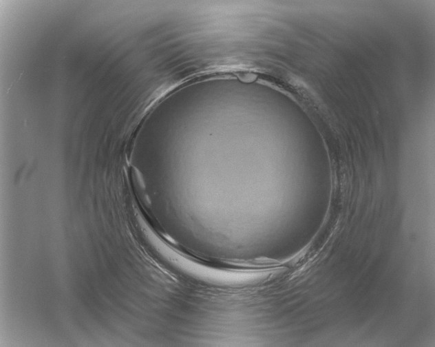 X0000061151361200512022303