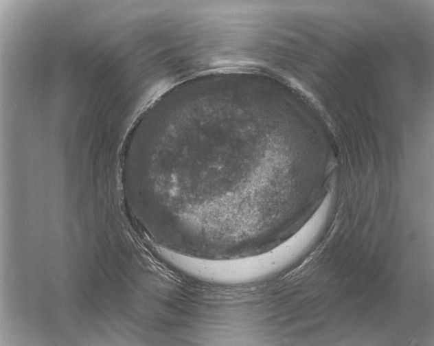 X0000061151362200512022303