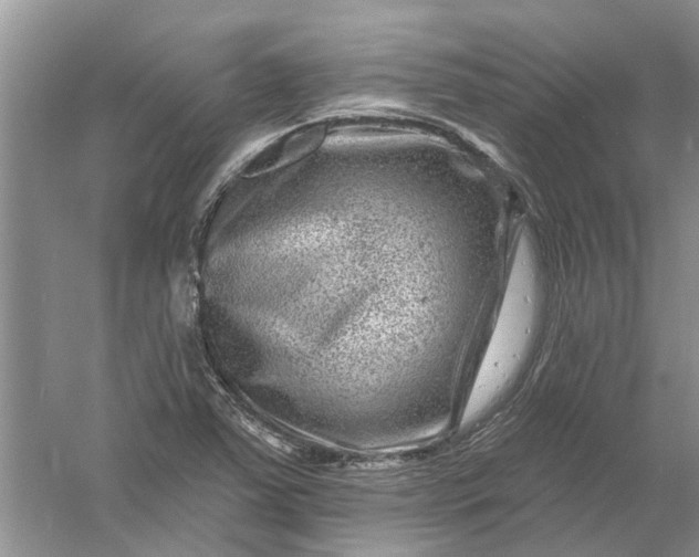 X0000061151363200512022303