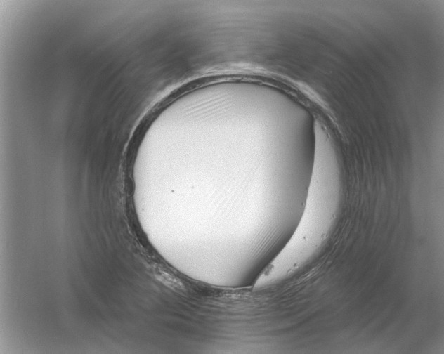 X0000061151364200512022303