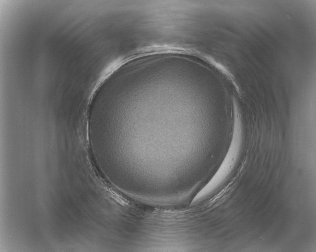 X0000061151365200512022303