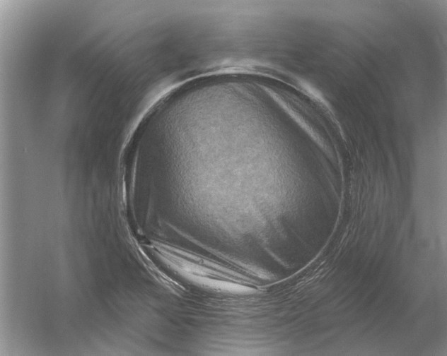 X0000061151368200512022303