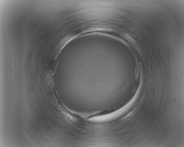 X0000061151369200512022303