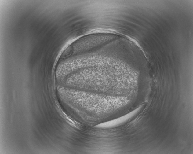 X0000061151371200512022303