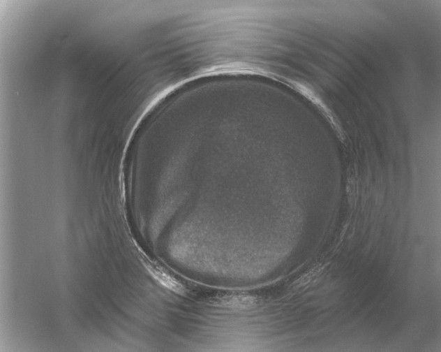 X0000061151372200512022303