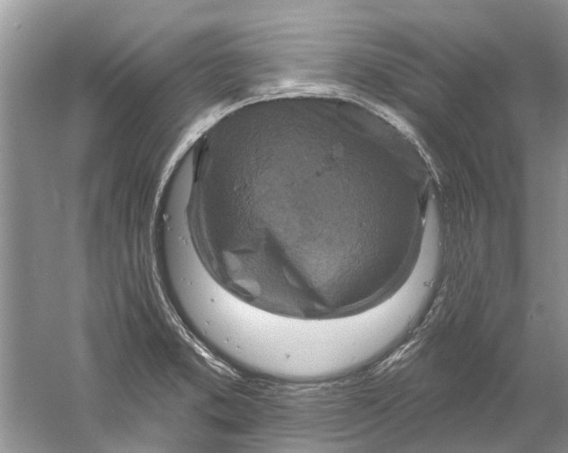 X0000061151373200512022303