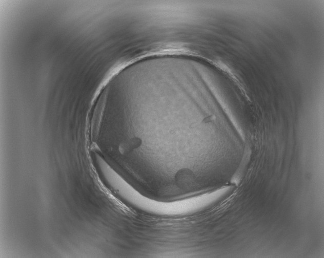 X0000061151374200512022303