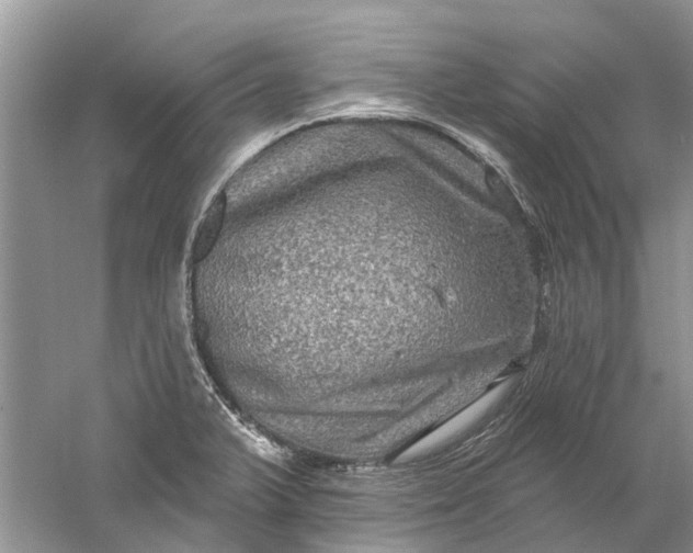 X0000061151375200512022303