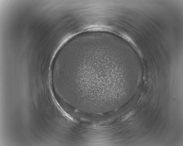 X0000061151376200512022303