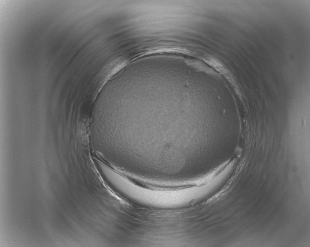 X0000061151377200512022303