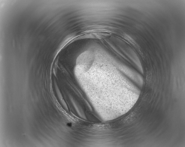 X0000061151378200512022303