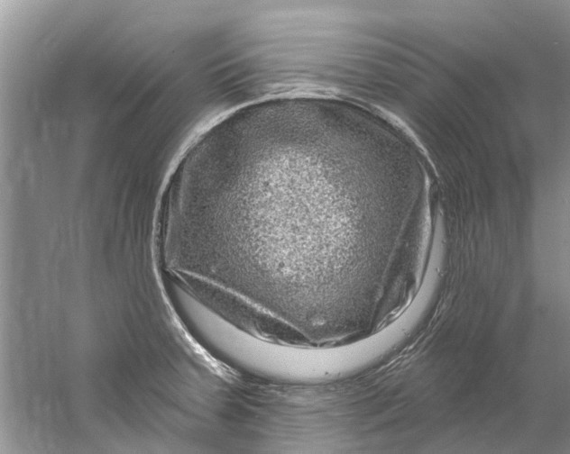 X0000061151379200512022303