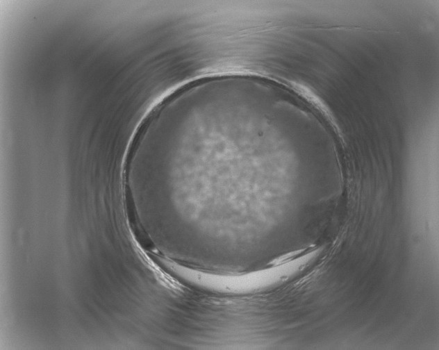 X0000061151380200512022303