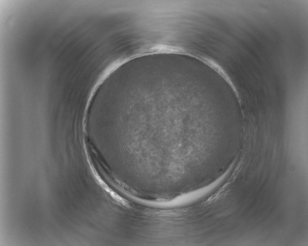 X0000061151381200512022303