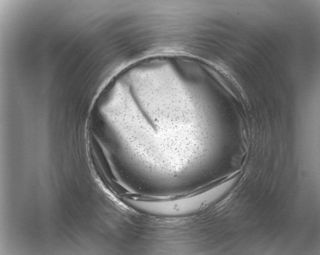 X0000061151382200512022303