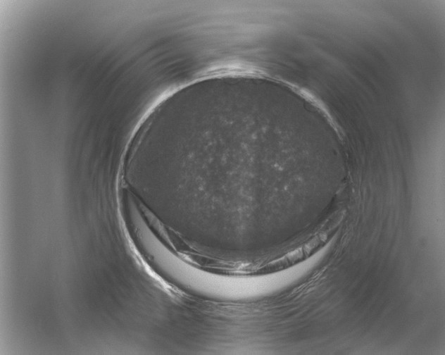 X0000061151383200512022303