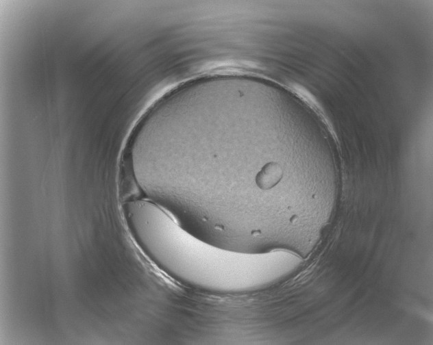 X0000061151384200512022303