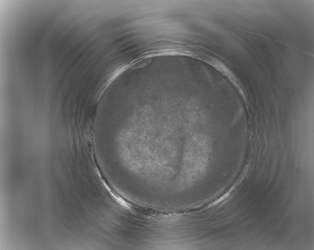 X0000061151385200512022303