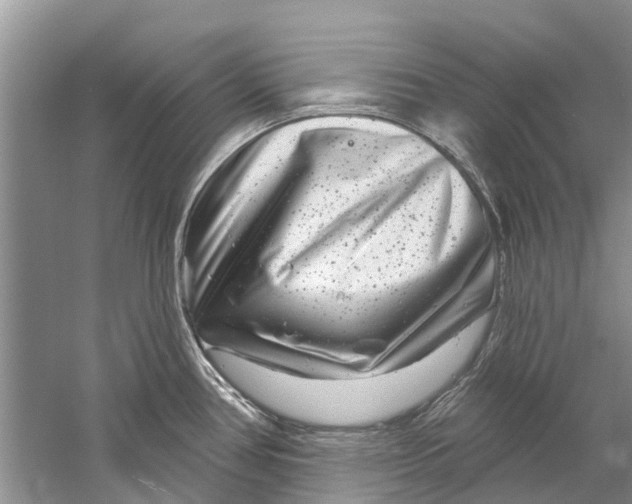 X0000061151386200512022303