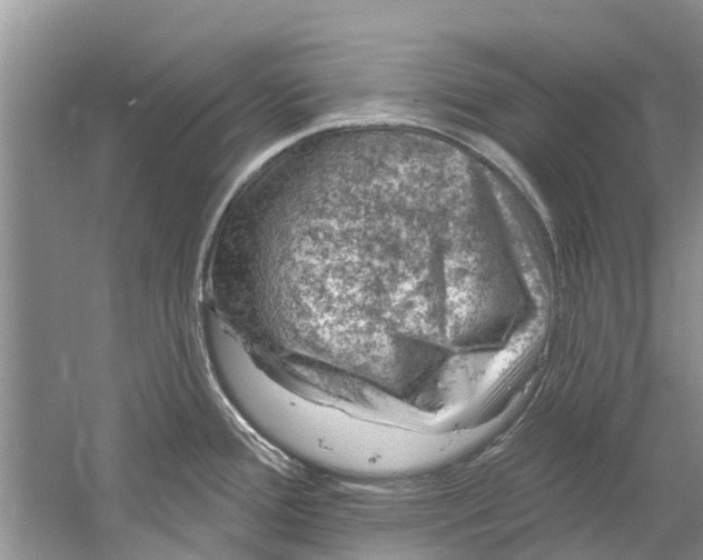 X0000061151388200512022302