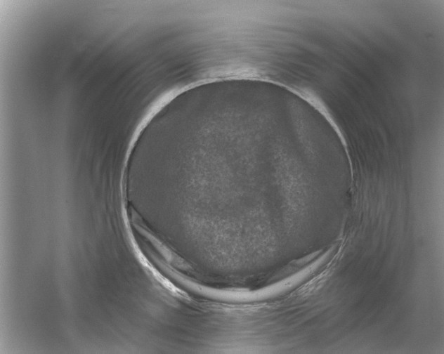 X0000061151389200512022302