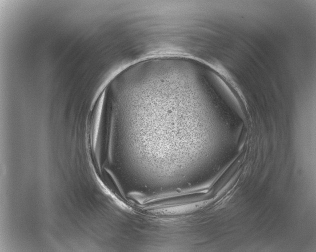 X0000061151390200512022302