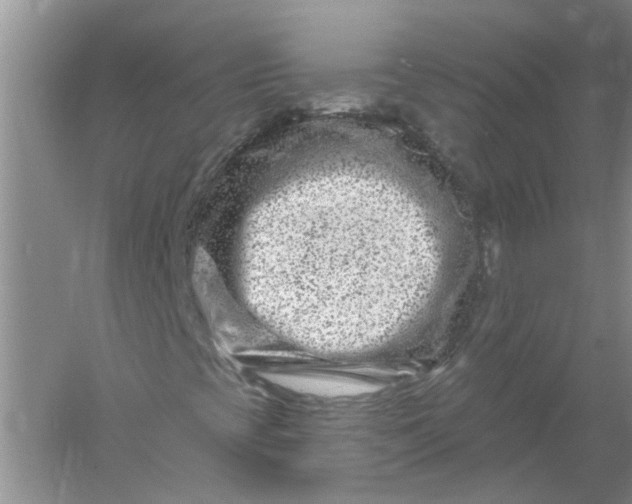 X0000061151393200512022302