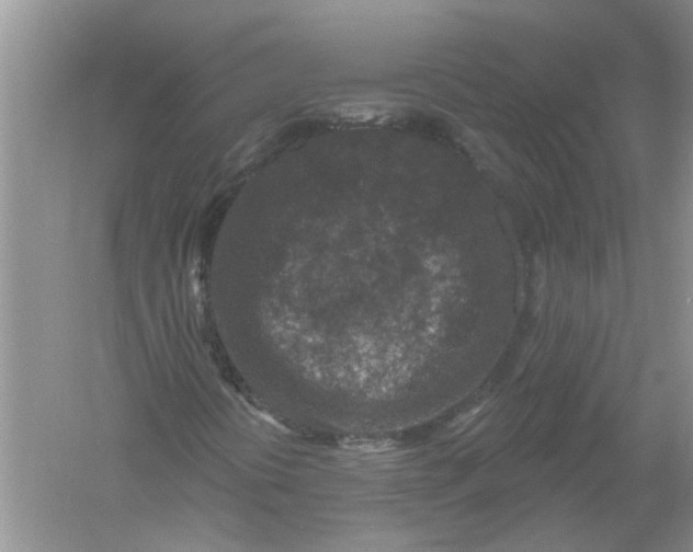 X0000061151394200512022302