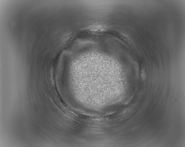 X0000061151396200512022302