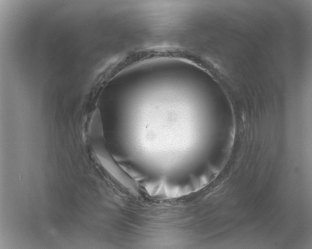 X0000061151398200512022302