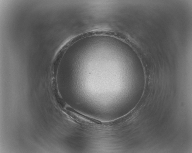 X0000061151400200512022302