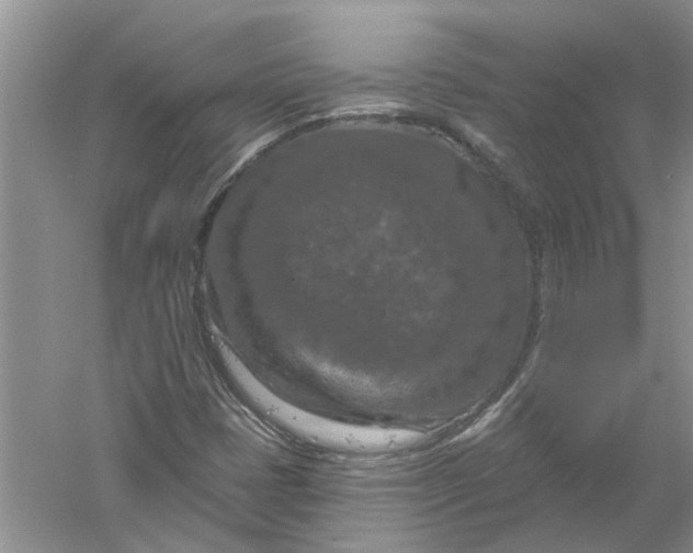 X0000061151401200512022302