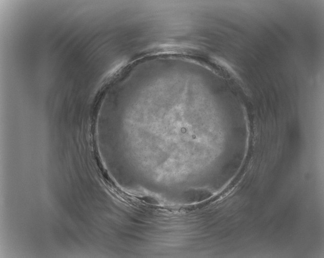 X0000061151403200512022302