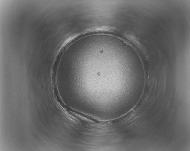 X0000061151404200512022302