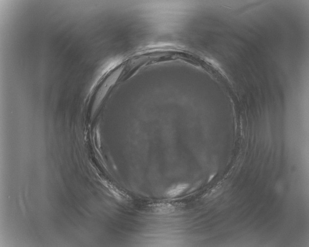 X0000061151405200512022302