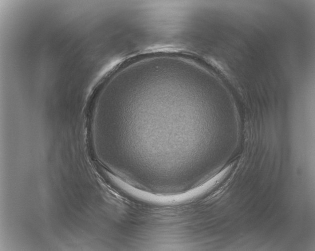 X0000061151406200512022302