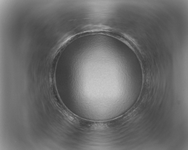 X0000061151407200512022302