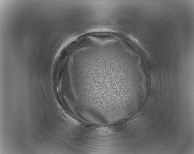 X0000061151408200512022302