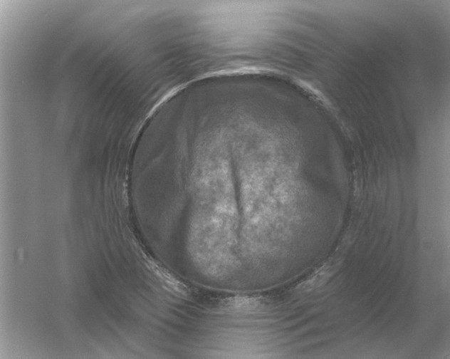 X0000061151409200512022302