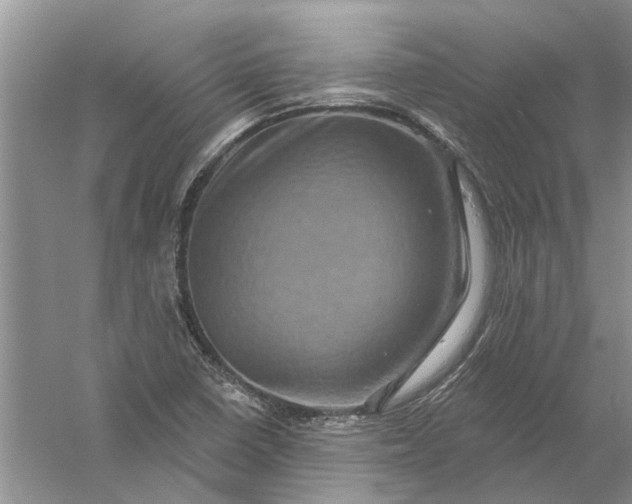 X0000061151410200512022302