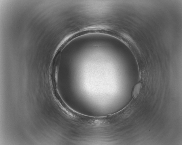 X0000061151412200512022302